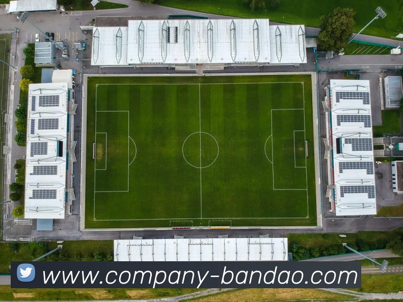 半岛体育APP 封面图